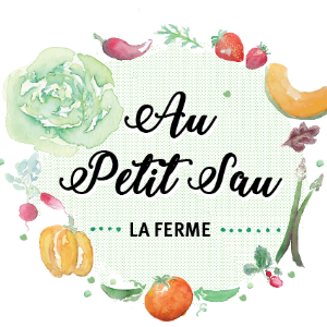 Logo de Au petit Sau