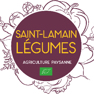 Logo de GAEC SAINT LAMAIN LÉGUMES