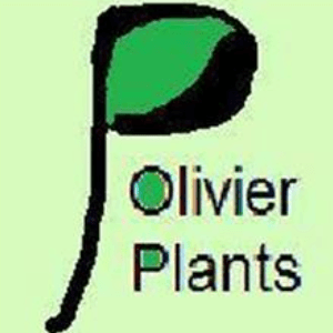 Logo de PierreOlivierPlants