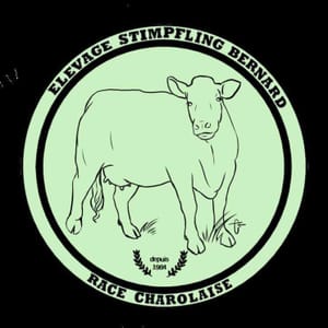 Logo de Mr Stimpfling Bernard