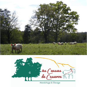 Logo de Les Causses de Cesserou