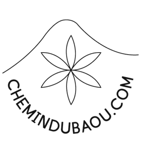 Logo de CHEMIN DU BAOU EARL