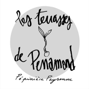 Logo de Les terrasses de Perramond
