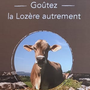 Logo de GIE Saveur Lozère