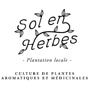 Logo de SOL EN HERBES