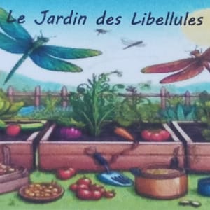 Logo de Le jardin des Libellules