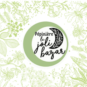 Logo de Pépinière Le Joli Bazar