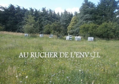 Logo de AU RUCHER DE L'ENVOL