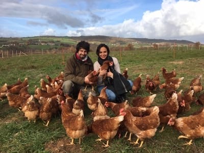 Logo de La Ferme aux Champs Etoilés