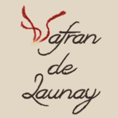 Logo de SAFRAN DE LAUNAY